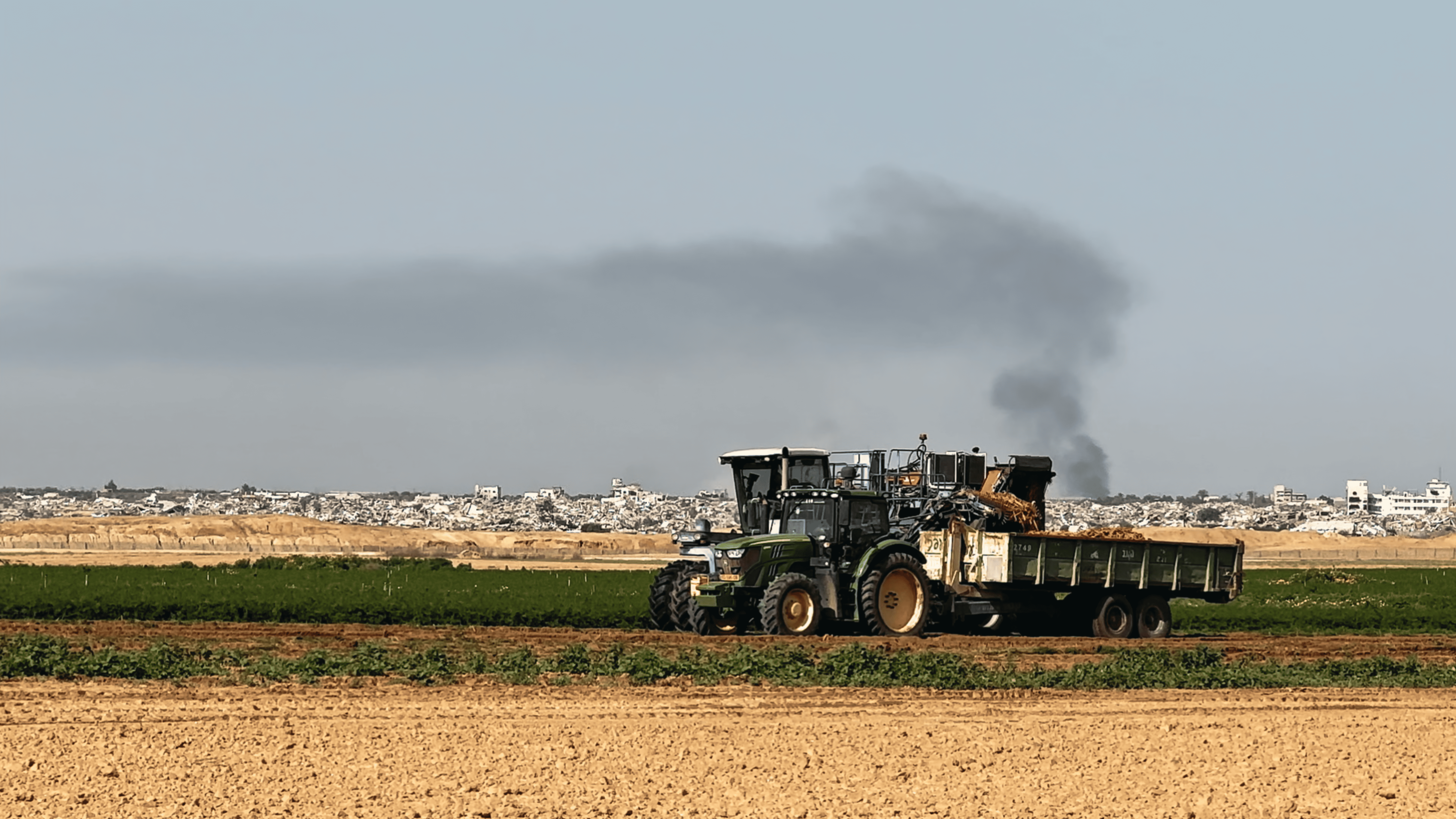 Collapse - Berlinale 2026